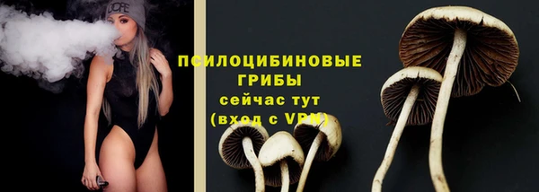 mix Арсеньев