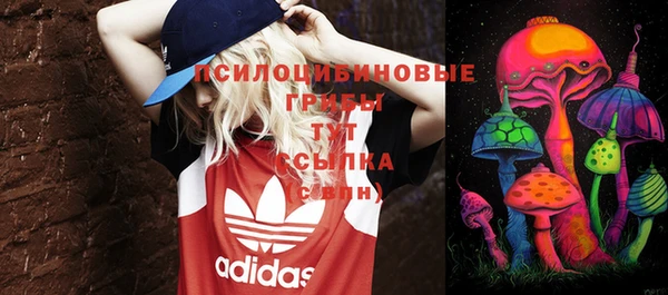 mix Арсеньев